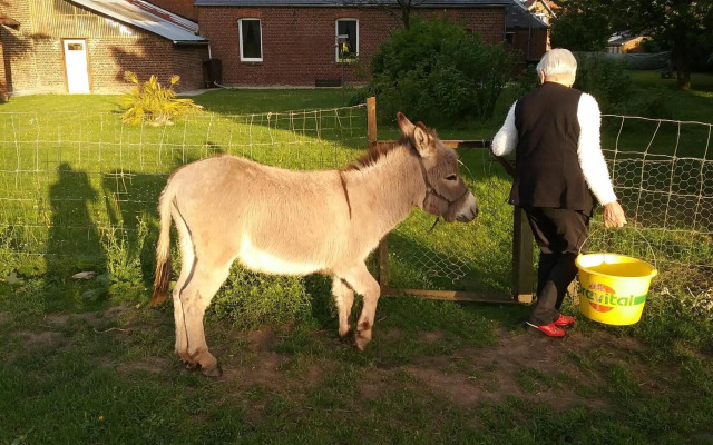 Chambre d'hôtes Coquelicot
