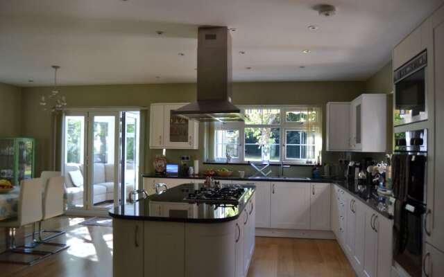 Leafy Suburban Bed & Breakfast