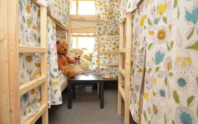 Teddy hostel