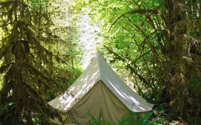 Wander Camp Olympic