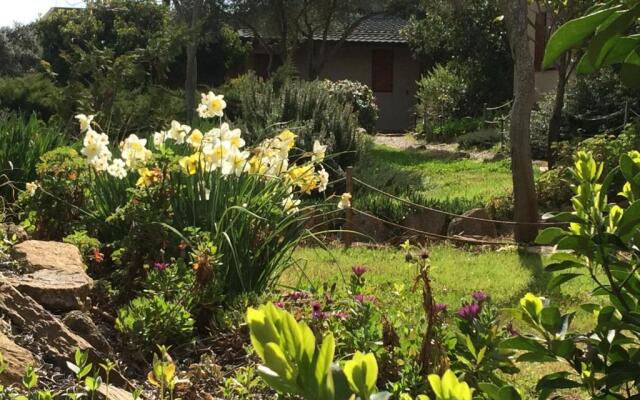 La Cerca Del Alcornoque