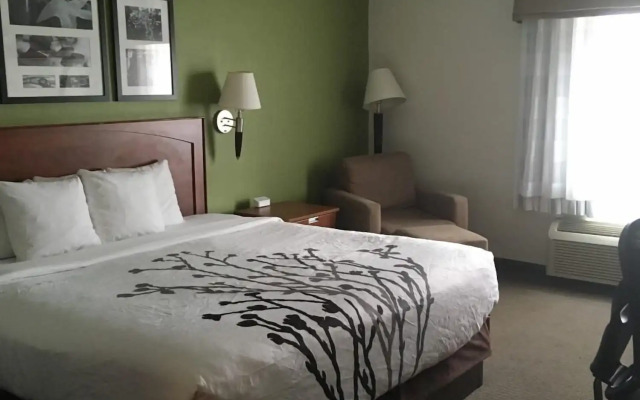 Sleep Inn & Suites Conference Center and Water Park