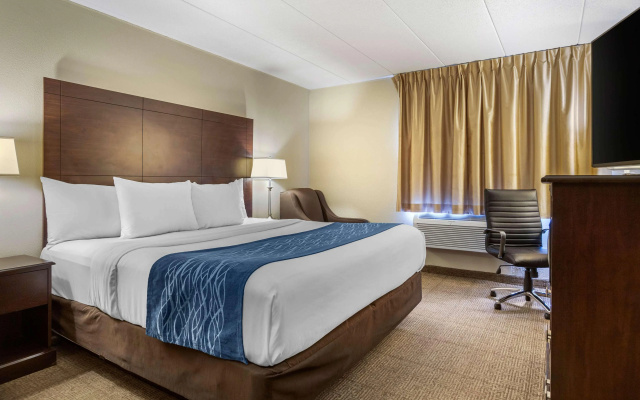 Comfort Inn Grand Rapids Airport
