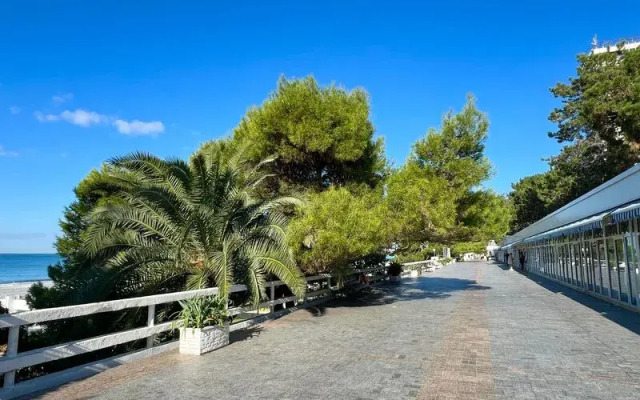 Marina Park