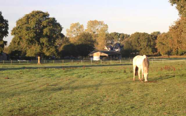 Les Ecuries de Bel Air