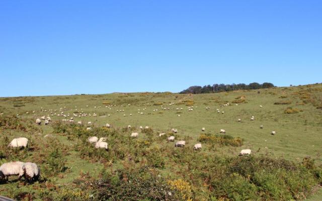 Apartamentos Zabalarena Artzaia