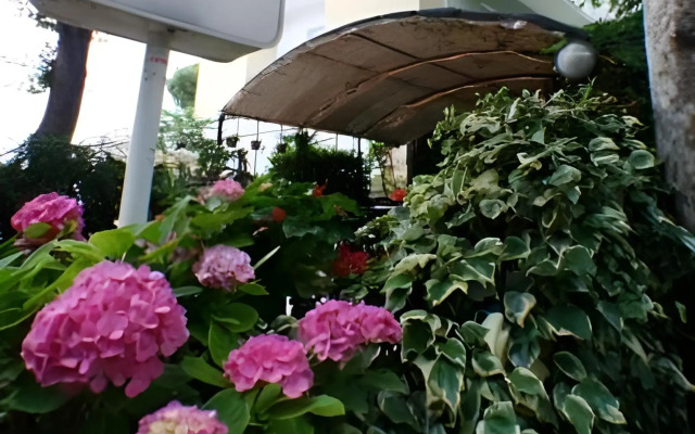 Hotel Acquamarina