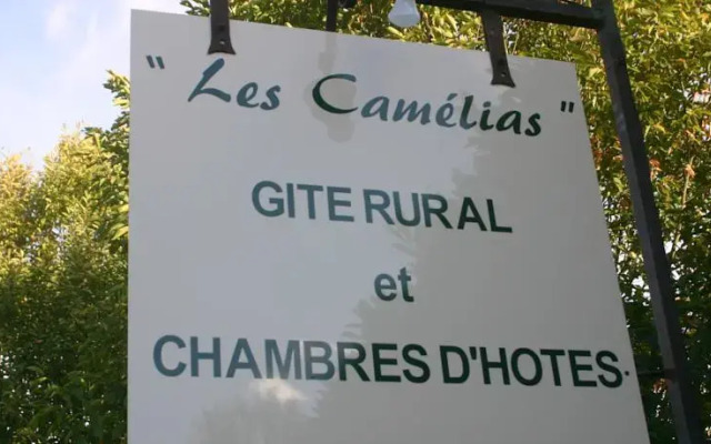 Les Camélias