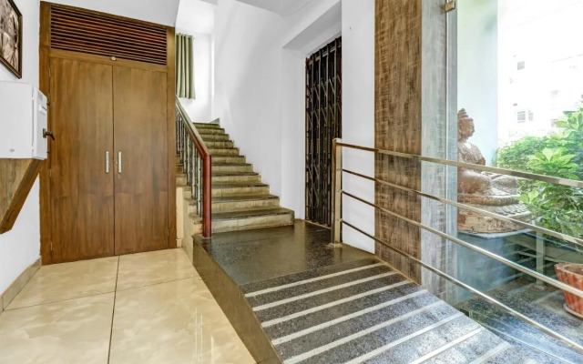 Treebo Trend The Butterfly