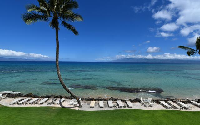Kaleialoha 409