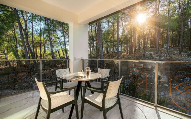 Dedeman Olympos Health Resort