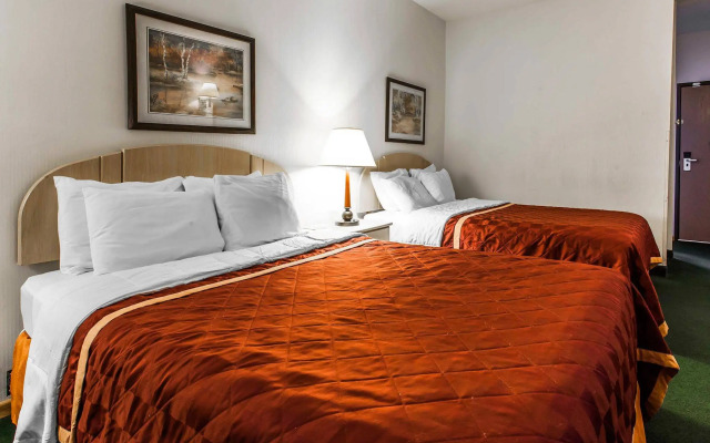 Bellis Inn