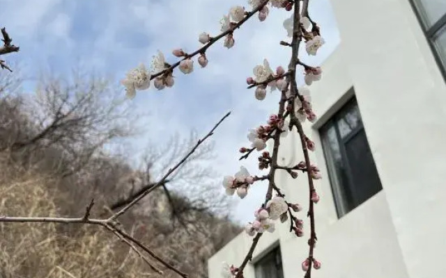 Yuexi Bieyuan