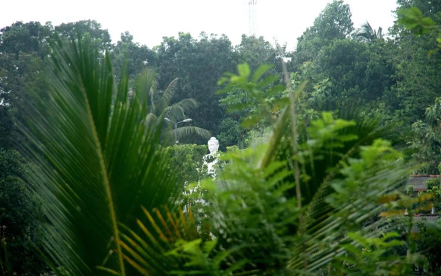 The Breeze Pinnawala Homestay