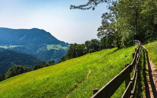 Schwabl auf der Ebene