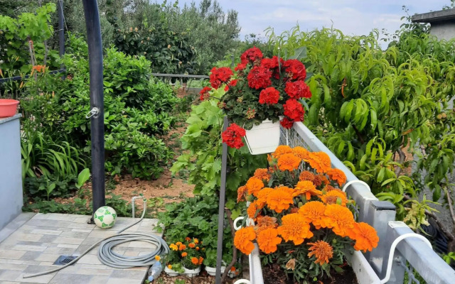 Studio apartman Mare