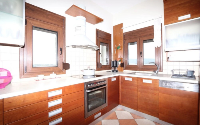 Aeriko Amazing Sea View Villa Galini