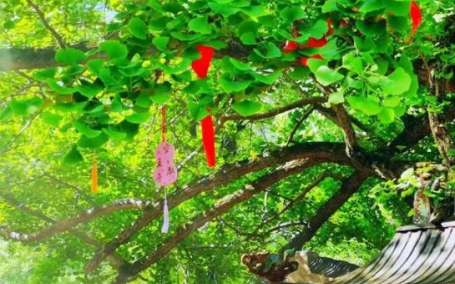 Zuoshangyun Guesthouse