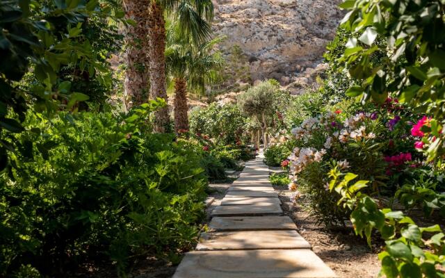 Santorini Mystique Garden