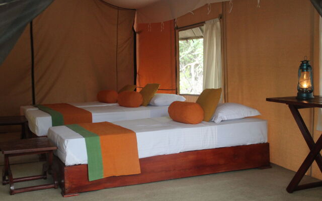 Wilderness Camping Yala