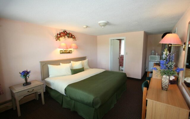 Motel 6 Campbellford, ON