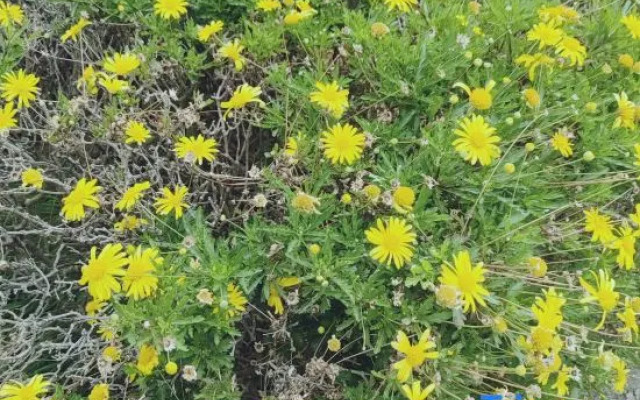 Vienna International Hotel