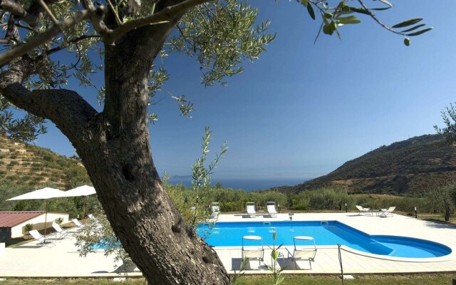 La Collina degli Ulivi - Casa Ulivi 2