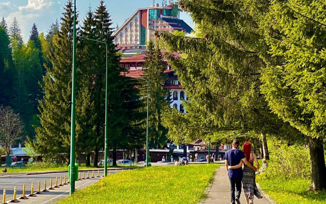 Hotel Piatra Mare