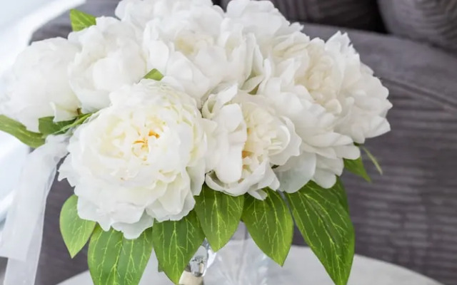 Seaside Apartment With AC by Renters