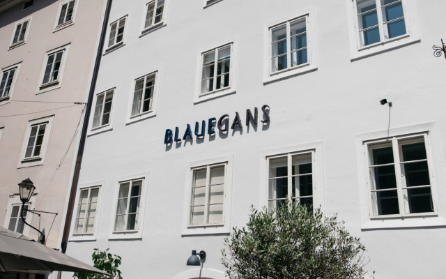 Arthotel Blaue Gans