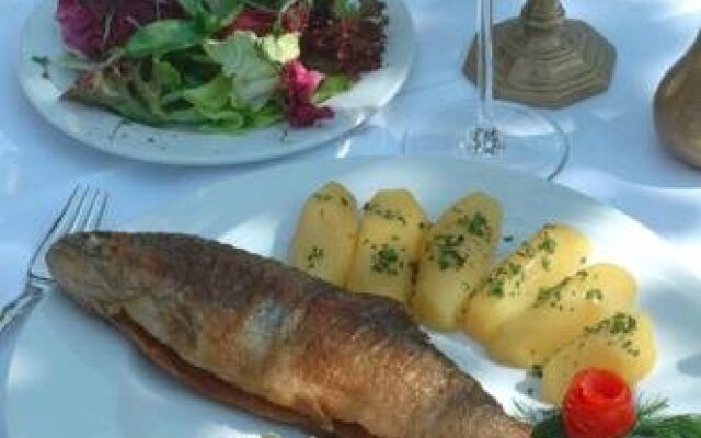 Gasthof-Hotel Hemetsberger