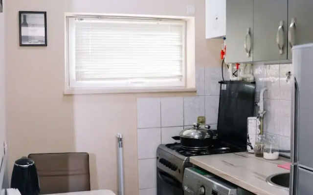Apartment Alpha Leonidze with Fireplace