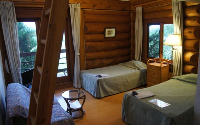 Hakuba Log Hotel Meteor