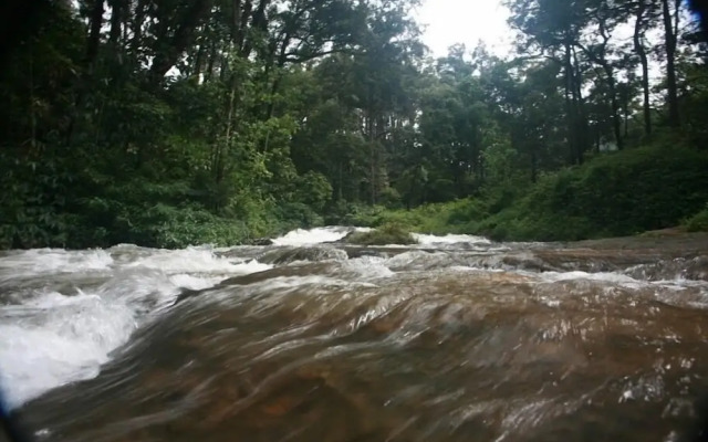 Wild Elephant Eco-Friendly Resort