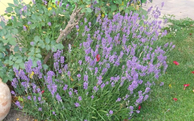 Privatpension Stampfl