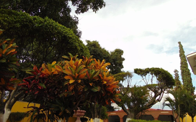 La Quinta de Alito