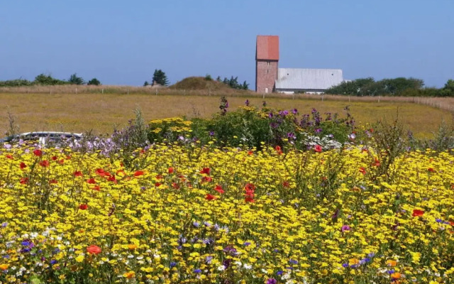 Schatz Comfortable Holiday Residence