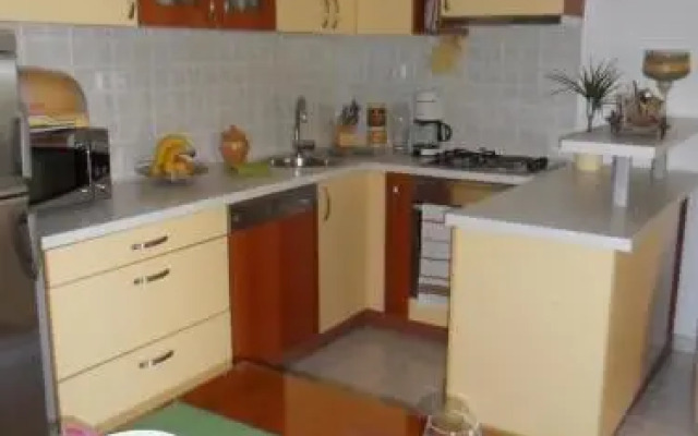 Apartment Ivan