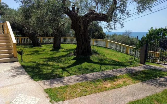 Apartment Spuza
