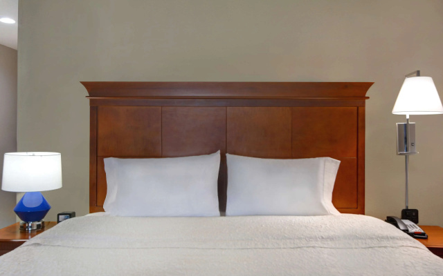 Hampton Suites Birmingham Hoover