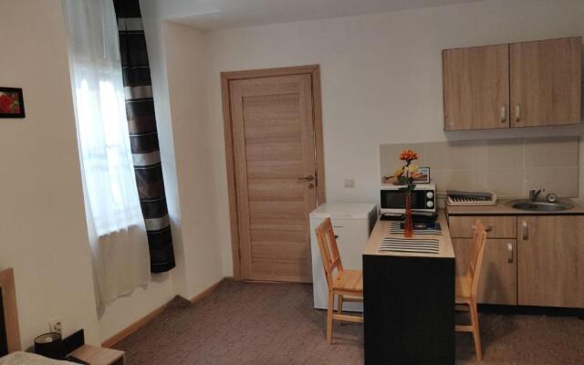 Sandor Central Studio Apartment