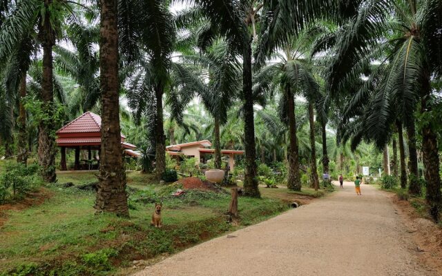 Tonpalm Farmstay