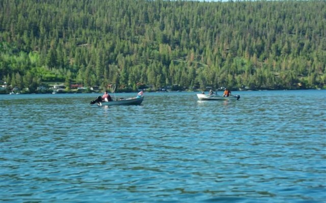 Marigold Fishing Resort