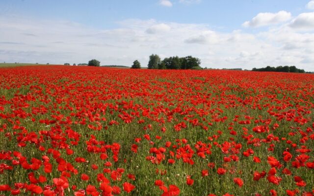 Sunny Holiday Apartment at the Forest Büdnerreihe
