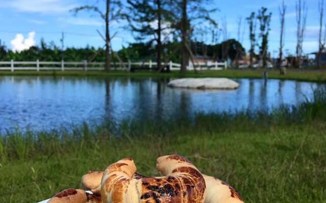 193 County Garden BnB