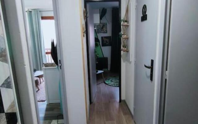 Superbe T2, à 100 mètres des pistes, piscine d'été