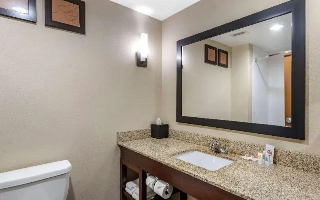 Comfort Suites Nashville Manchester