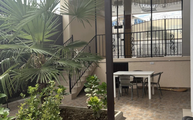 Дельфин-море (Сухум)