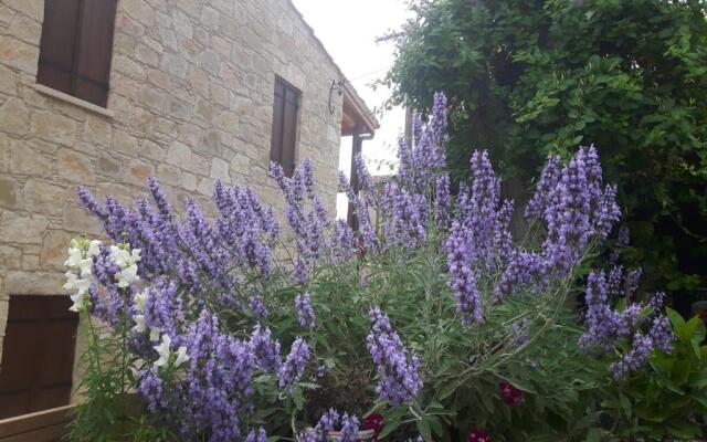 Ble Mavi Studio-Adults only