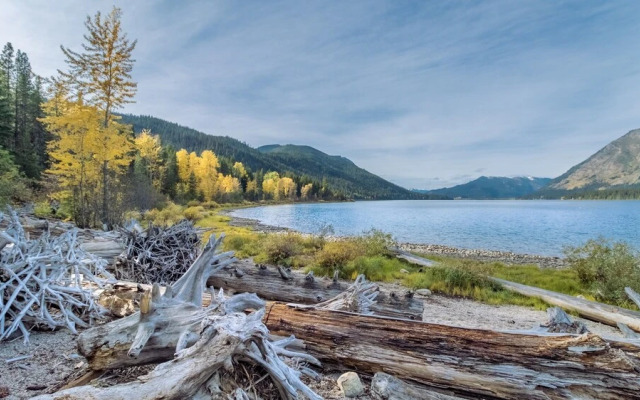 Thyme Out 2 Bedroom Home by NW Comfy Cabins by RedAwning